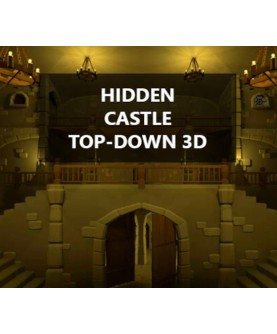 Hidden Castle Top-Down 3D Steam Key GLOBAL